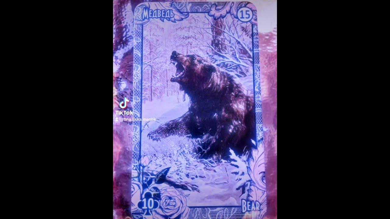 карта Медведь #сторис - YouTube