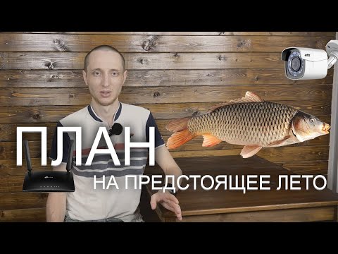 Планы на предстоящий дачный сезон. Интернет и видеонаблюдение. Садоводство и разведение рыбы.