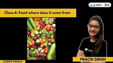Food Where Does It Come From | Chapter 1 | Class 6 | Science Shaala | Prachi Singh