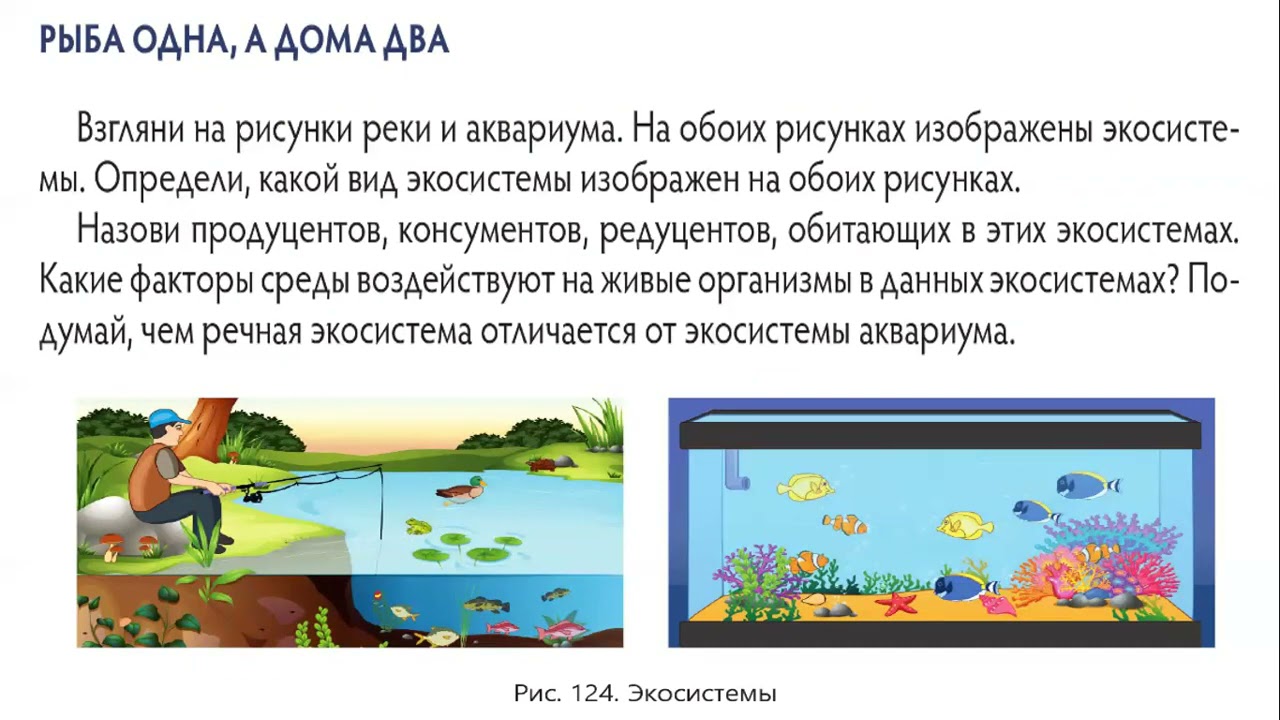 Сравнение естественных и искусственных экосистем - YouTube