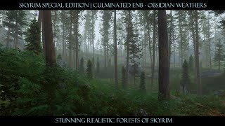 SkyrimSE Modded-4K| Gorgeous Realistic Forests | Culminated ENB - Obsidian