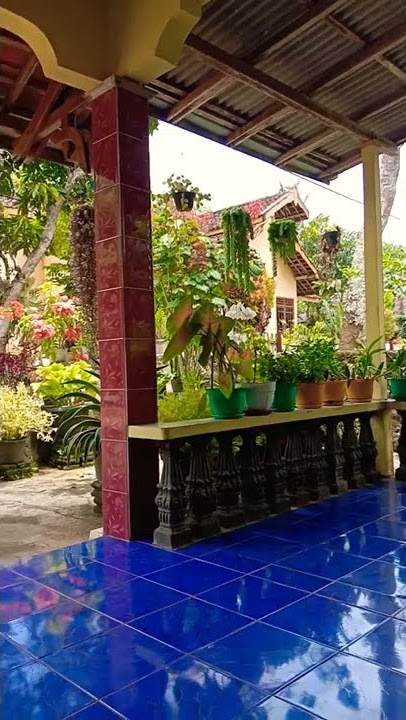 lare gunung #shorts