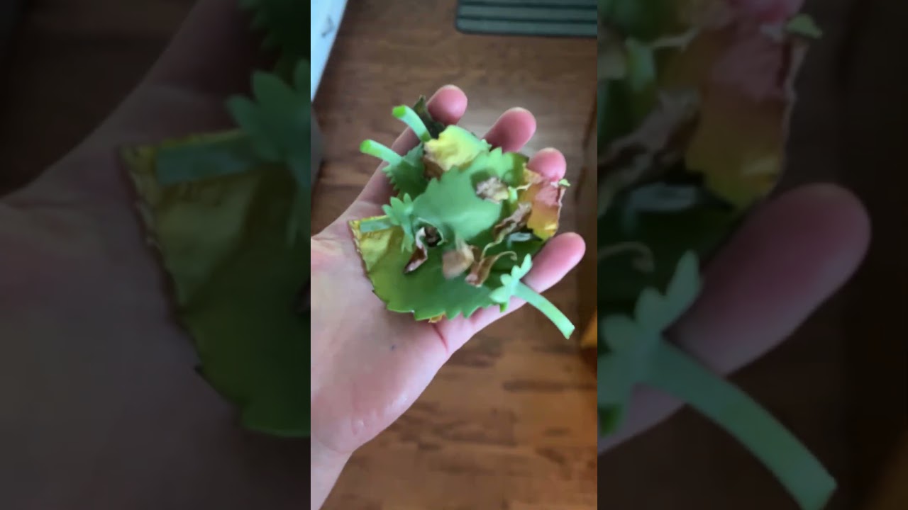 What I saved from the landfill this week! 