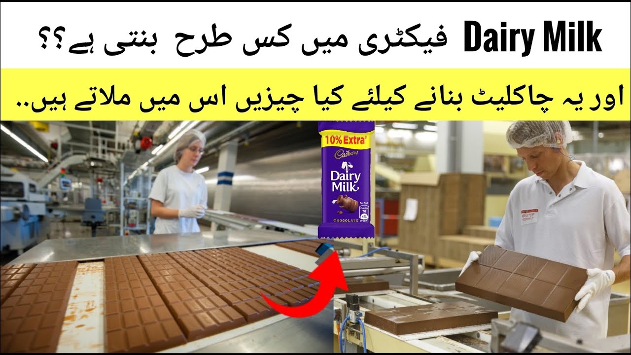 How Dairy Milk Chocolate Is Made In Factory How Dairy Milk Chocolate Is Made In Factory