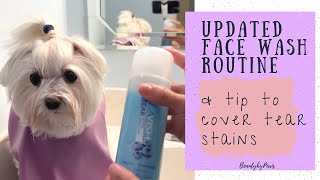 Tip to cover Tear Stains, Updated Face Wash Routine (2023)