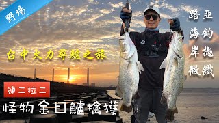 巨大野生金目鱸擒獲台中火力出水口釣魚～[路亞海釣岸拋微鐵 ... 