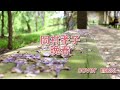 岡村孝子・晩春 男が歌ってみた