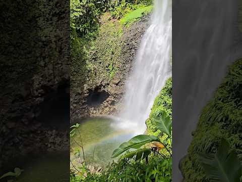 Middleham Falls Dominica Hike