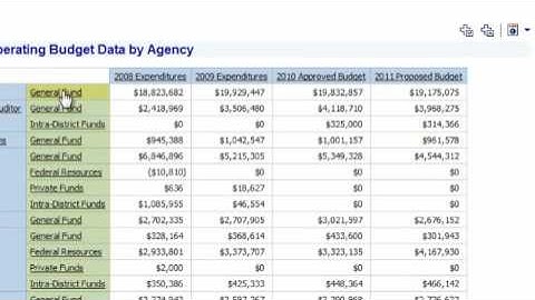 CFOINFO Drill up and Drill Down
