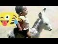 الهروب الي المجهول سيكا يترنح الهروب الي المجهول سيكا يترنح