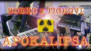 Video thumbnail of "Borko Radivojevic x Tigrovi - APOKALIPSA"