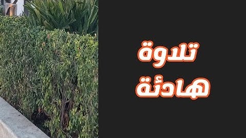 القرآن الكريم، سورة الأنبياء من الآية 56 إلى الآية 89.