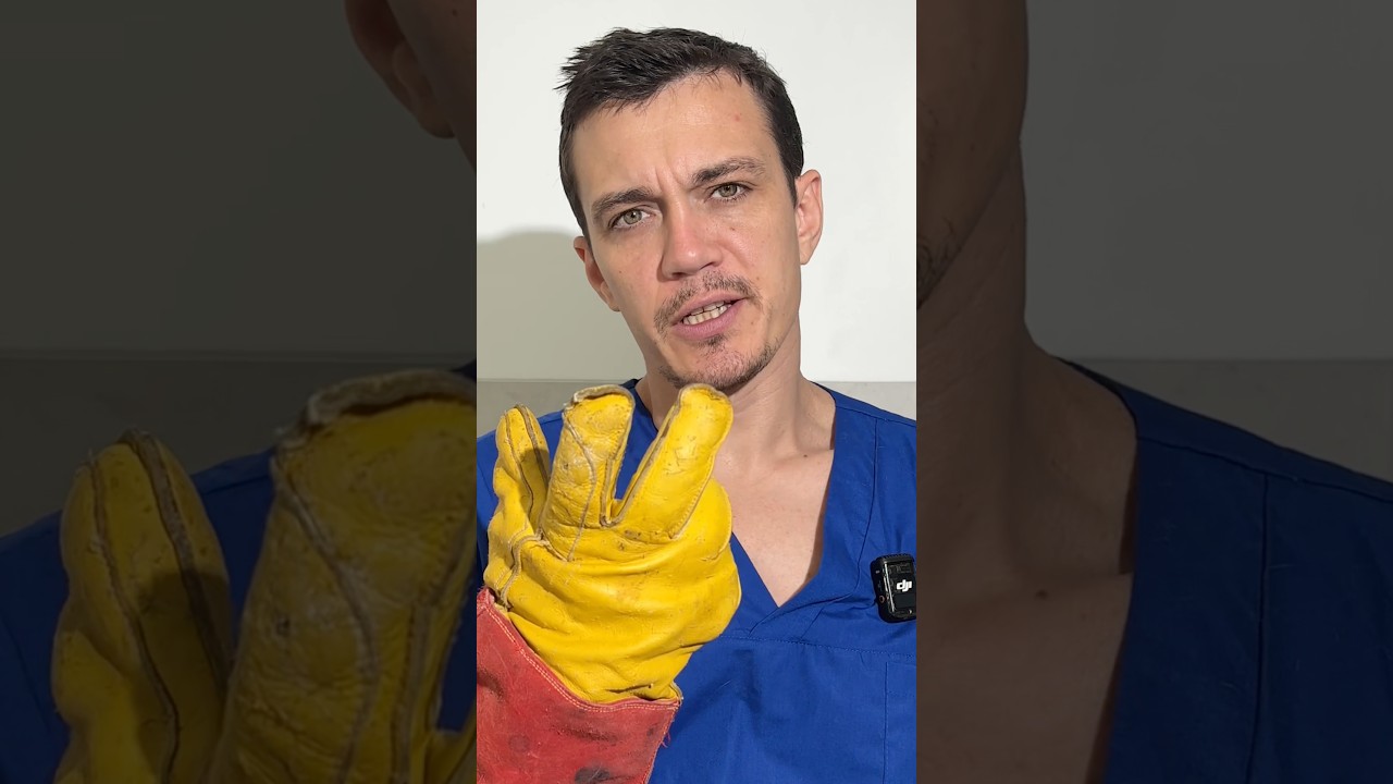 Le chat devient tigre #cat #chat #vetlife #vet #angrycat @VetRamiAwwad