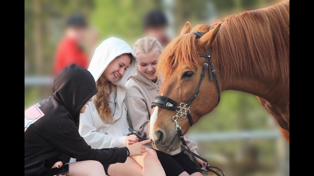 Leiripäivä 🐎