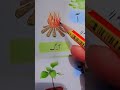 Urdu reading with phonics #learnphonics
