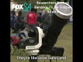 Bandera's Flying L Ranch Hosts Eclipse Researchers