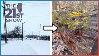 Extreme cold weather, changing Midwest winters, and climate change