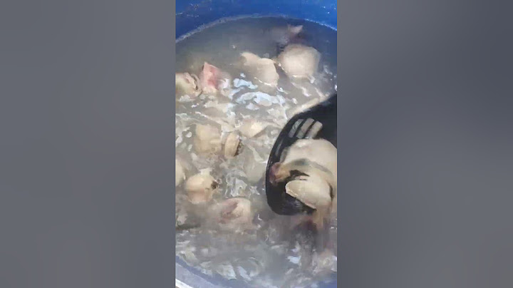 la mejor manera de cocer caracol