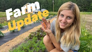 Cultivating with a 74 YEAR OLD tractor!!! Farm update!