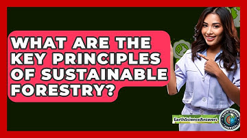What Are The Key Principles Of Sustainable Forestry? - Earth Science Answers