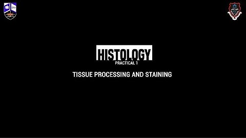 General Histology I Practical 1 I Tissue Processing and Staining ( Full Video)