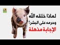 لماذا خلق الله الخنزير إذا كان محرما على بني البشر إجابة مذهلة 