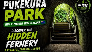 Taranaki’s Hidden Conservation Story | Saving Rare Species at Pukekura Park