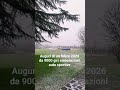Auguri 2026 da 9000 giri elaborazioni auto sportive, #shortsvideo