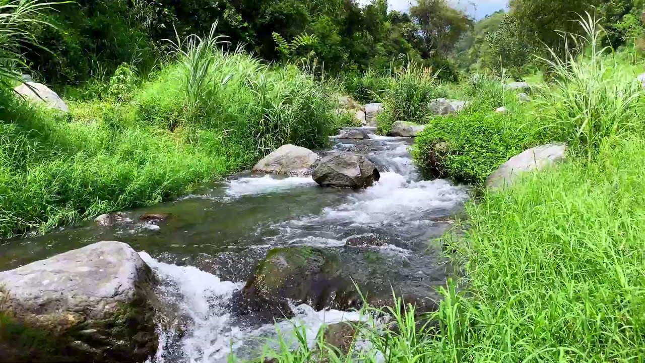 Tranquil River Flow – 10 Hours of Water ASMR  - Stress, Anxiety Relief & Meditation Sounds