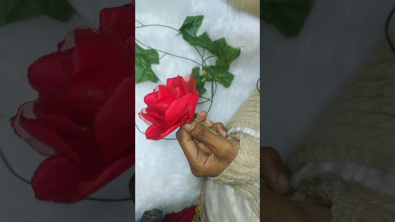 rose day ||DIY clothe rose 🌹