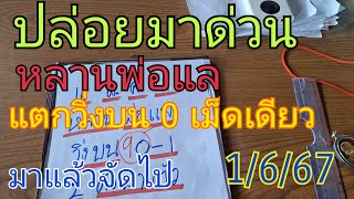 ปล่อยมาด่วน หลานพ่อแล วิ่งบนแตก 0 เม็ดเดียว มาแล้วปล่อยต่องวดทันที1/6/67