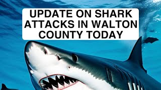 UPDATE ON 30A FLORIDA SHARK ATTACKS 6/7/24