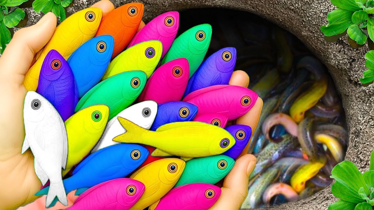 В небольшом пруду можно поймать красивых аквариумных рыбок: маленьких черепашек, синих гуппи, кра...