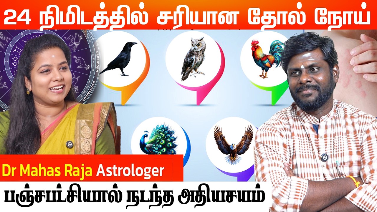 30 நாளில் ஒருவரின் வாழ்க்கையையே புரட்டி போட்ட பஞ்சபட்சி | Astro Numerology Dr. Mahas Raja