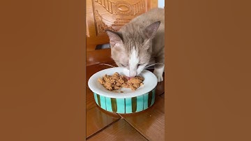 Ngại hết cả Chou 🤣