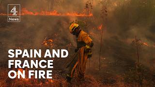 Fire closes on Bordeaux as wildfires ravage Europe