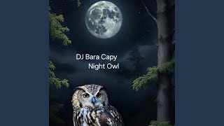 Nigh Owl