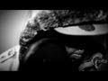 DeMarco - Bun Up Fingaz