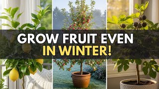 Grow Fruit Year-Round! 15 Cold-Hardy Fruit Trees For Pots & Small Spaces