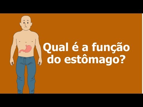 Vídeo: Qual é a função do estômago?