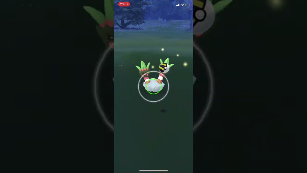 Shiny Binacle en Pokémon Go!