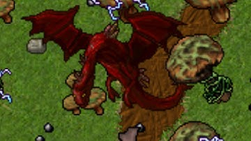 CORRIDORS OF VERMITHRAX -  Outcastserver.com Open-Tibia 7.6