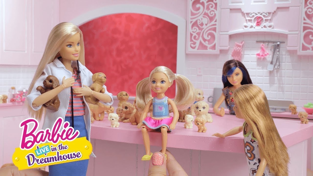 Filhotes Para Dar e Vender | Barbie LIVE! In The Dreamhouse | Barbie Português