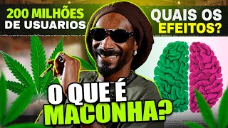 O Que É A Maconha?