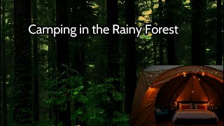 [Camping in the Rainy Forest ASMR} The sound of rain for deep sleep, rest, healing, reading, 꿀잠 빗소리