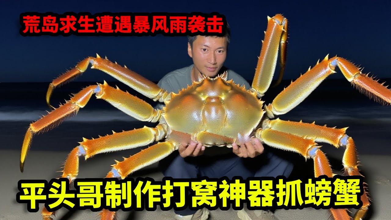 荒岛求生遭遇暴风雨袭击，平头哥用海螺肉制作打窝神器，为天灾期间储存食物【户外平头哥】