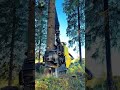 Nothing but real forestry ASMR 🔊🌲 Amazing John Deere 1270G #forestry #asmr #logging #satisfyingvideo