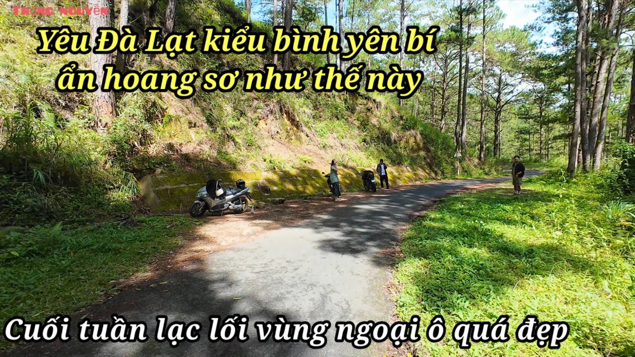Yêu Đà Lạt kiểu như thế này! Lạc lối vùng ngoại ô cảnh đẹp bình yên quá