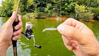 Ultralight Fishing with Gulp Minnows | 3 Hours RAW and UNCUT