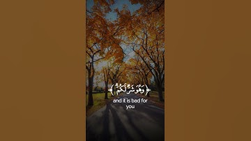 قرآن كريم بصوت خاشع للشيخ ياسر الدوسري #قرآن #تلاوة_خاشعة #ياسر_الدوسري